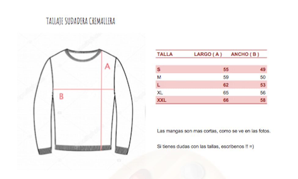 Sudadera Color Van